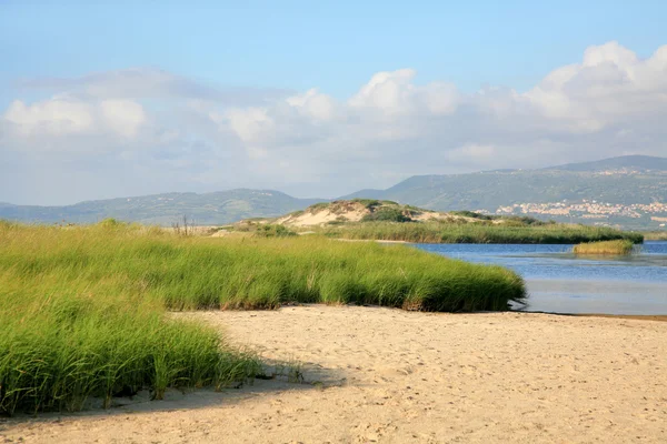 doğal deniz manzarası üzerinde plajlar, Sardinya, İtalya.