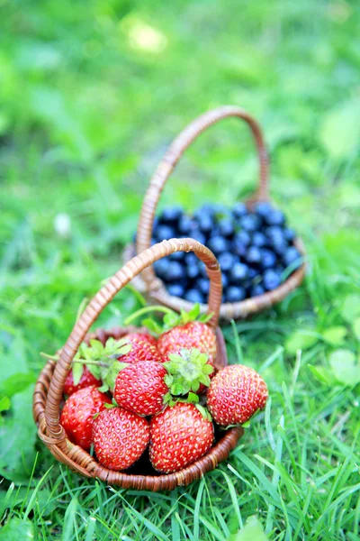 Baskets of strawberries and blueberries in the green grass — Stock Photo, Image