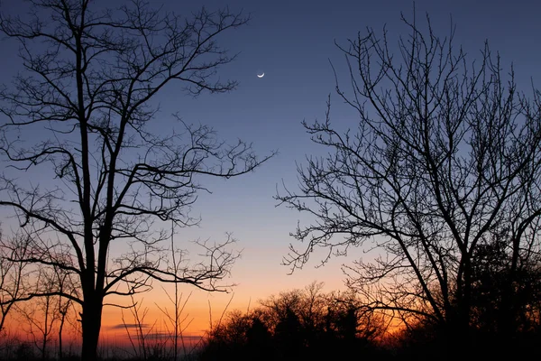 stock image Sunset in autumn