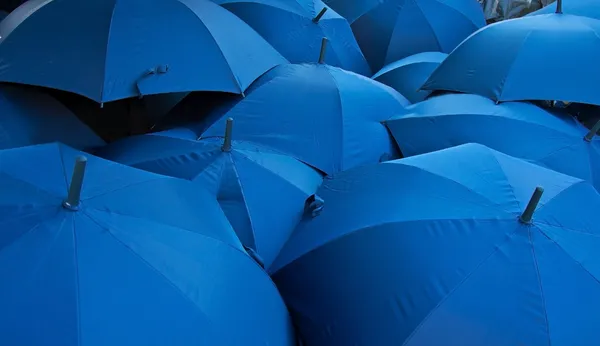 蓝色遮阳伞 图库图片