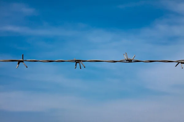 stock image Barbed wire