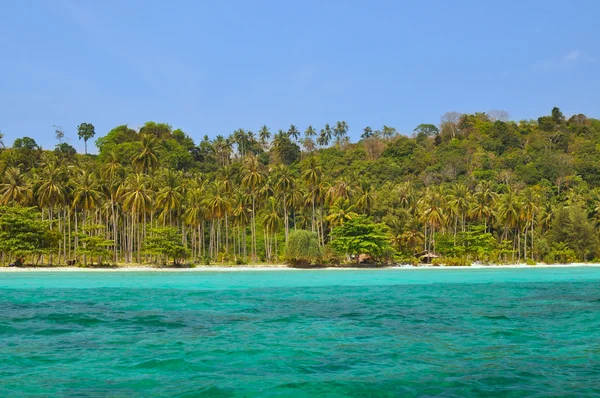 Пляж с пальмами на Пхи Пхи острова — стоковое фото