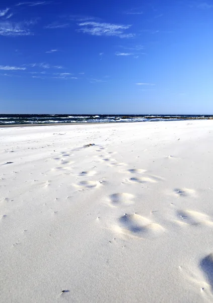 砂、ビーチ、海、空 .. — ストック写真