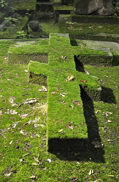 Eski, yosunlu çapraz. mezar. — Stok fotoğraf