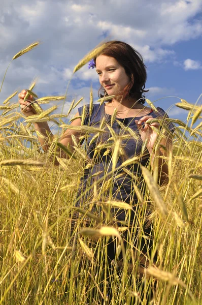 Vrouw in tarwe. — Stockfoto
