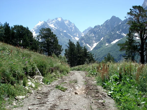 stock image Mountain road