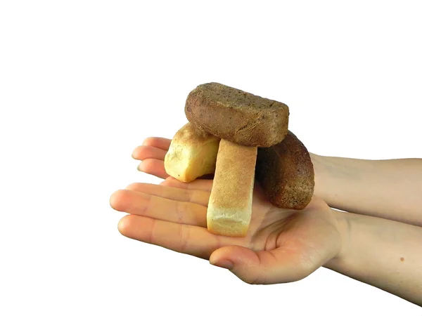 Pan en la mano — Foto de Stock