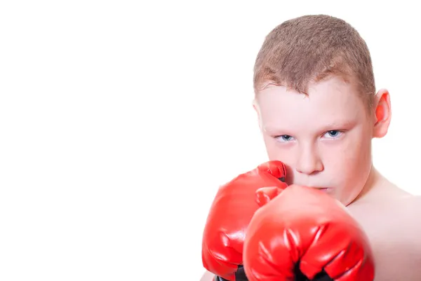 Мальчик-боксер — стоковое фото