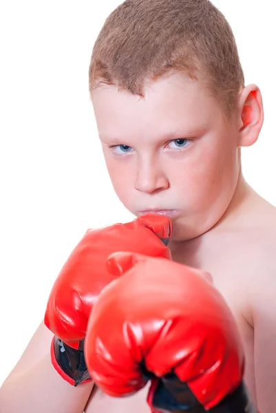Мальчик-боксер — стоковое фото