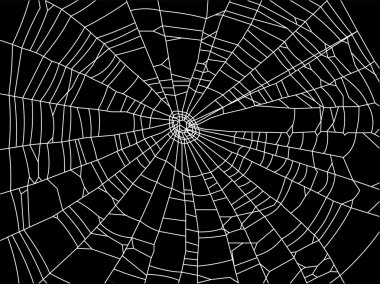 Spider web clipart