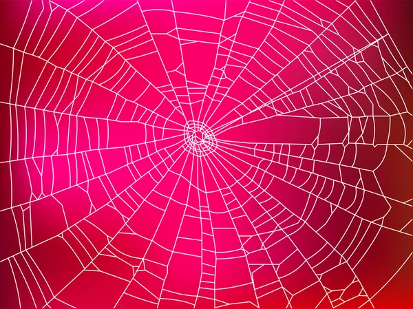 Spinnenweb — Stockvector