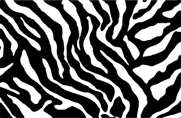 Vzor Zebra — Stockový vektor