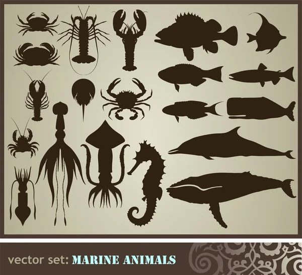 Animais marinhos — Vetor de Stock