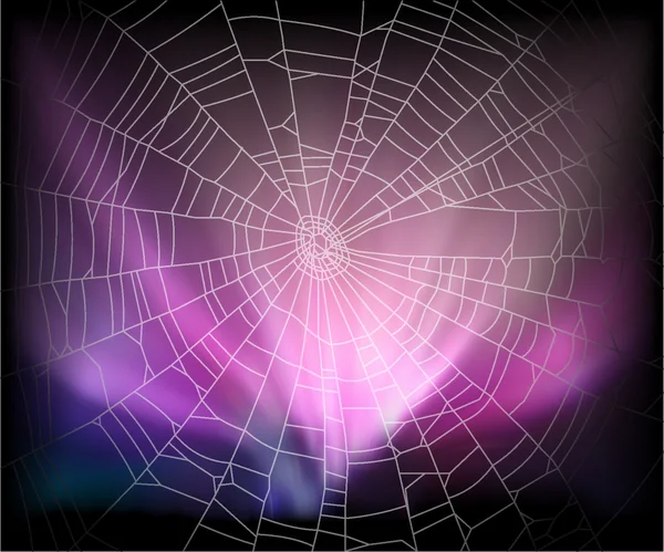 Araignée fond — Image vectorielle