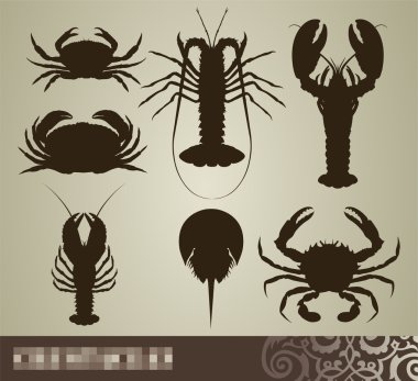 Crustacean set clipart