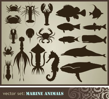 Marine animals clipart