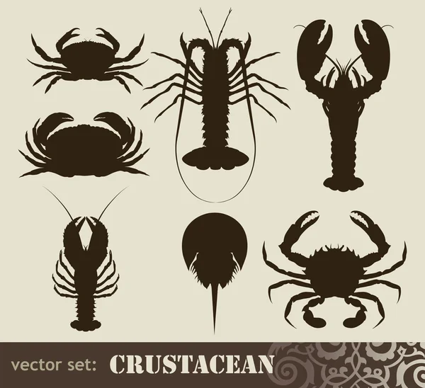 Ensemble de crustacés — Image vectorielle