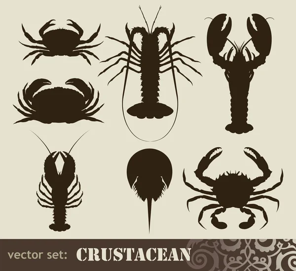 Set di crostacei — Vettoriale Stock