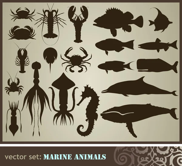 Zwierzęta morskie — Wektor stockowy