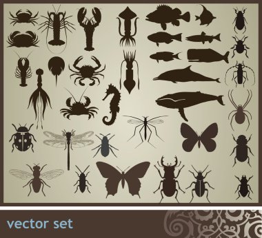  set clipart