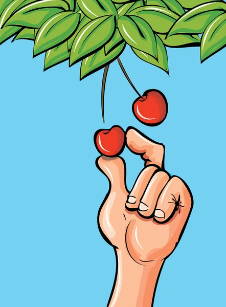 Mano de dibujos animados recogiendo una cereza — Vector de stock