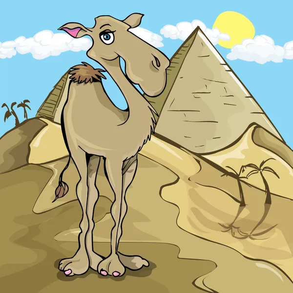 Dessin animé chameau devant une pyramide — Image vectorielle