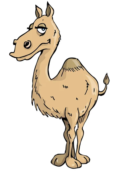 Cartoon Camel — Stock Vector