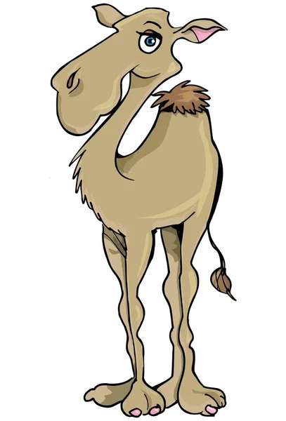 卡通骆驼 — 图库矢量图片