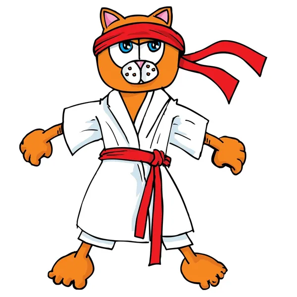 Cartoon cat in karate outfit — Stock Vector