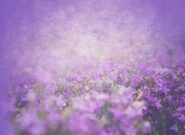 Гранжевая цветочная текстура — стоковое фото