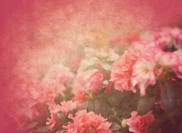 Grunge květinová textury — Stock fotografie