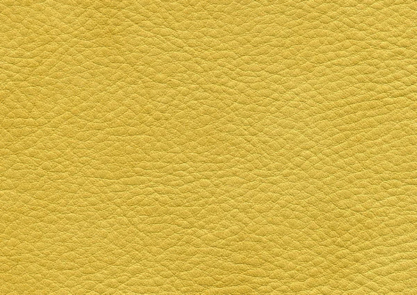 Leather skin — Stock Photo, Image