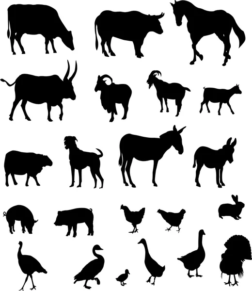 Коллекция сельскохозяйственных животных - вектор — стоковый вектор