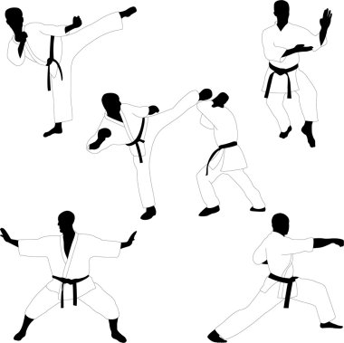 Karate collection - vector clipart