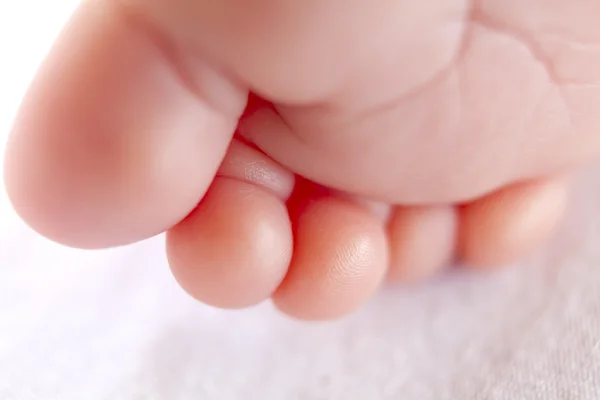 Nuevos dedos de los pies —  Fotos de Stock