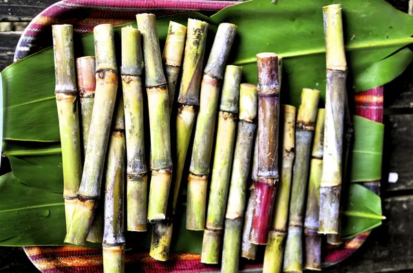 Свіжі Sugarcanes Ліцензійні Стокові Зображення