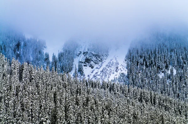 Monte Rainier coberto de nevoeiro grosso — Fotografia de Stock