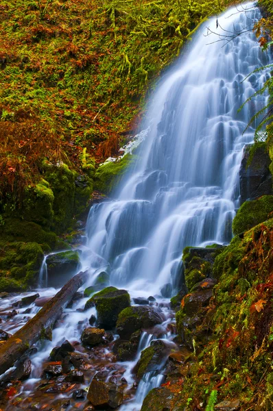 壮大な滝 — ストック写真