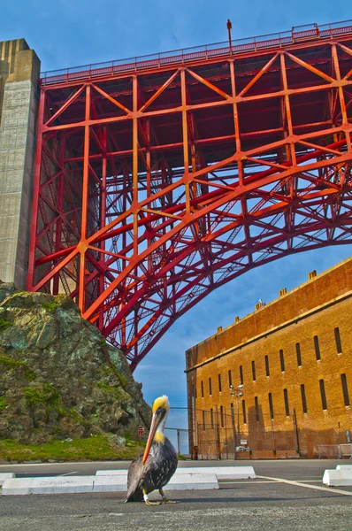 Мост Золотые ворота в Форт-Пойнт — стоковое фото