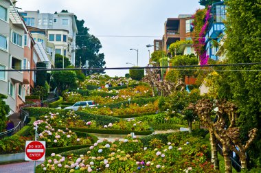 Lombard Street San Francisco clipart
