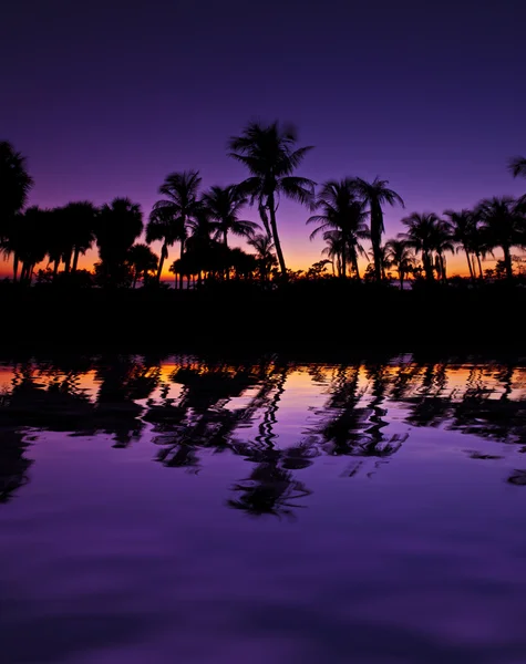 Cennet oasis — Stok fotoğraf