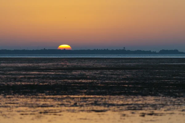 stock image Rising Sun