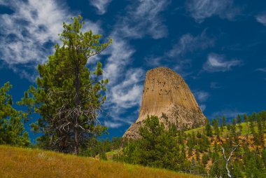 Devil's Tower'da