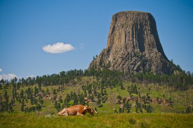 Devil's Tower clipart