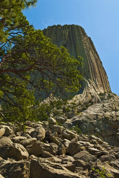 Devil's Tower — Stockfoto