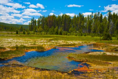 Yellowstone Landscape clipart