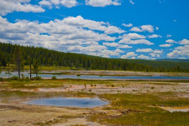 Yellowstone Landscape