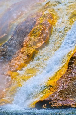 Firehole nehir yellowstone