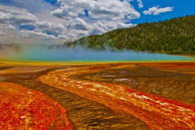 Grand Prizmatik yellowstone bahar