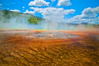 Grand Prizmatik yellowstone bahar